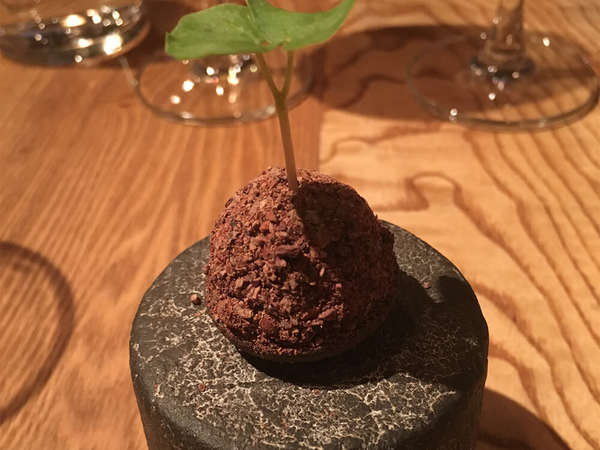 カジュアルに楽しめるアートなフレンチの画像