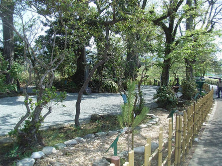 源実朝ゆかりの植物園オープン