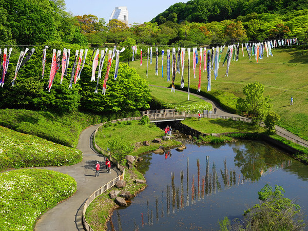 見応え十分！公園の上空を泳ぐ鯉のぼり