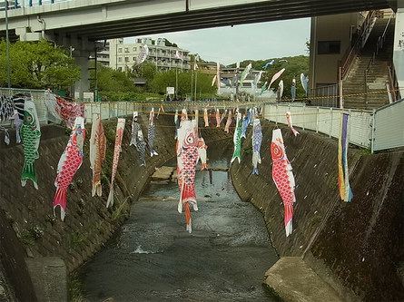 こいのぼりの泳ぐ五反田川