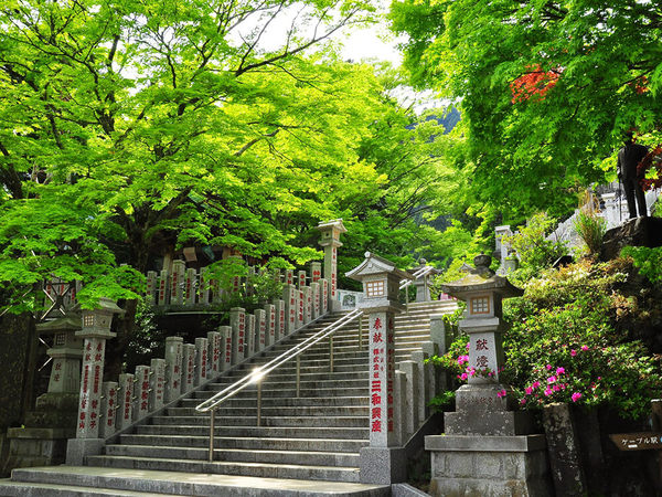 新緑に包まれる大山で、ハイキングを楽しもう！の画像