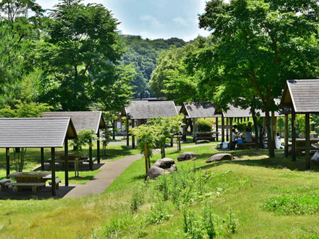 緑いっぱいの秦野戸川公園