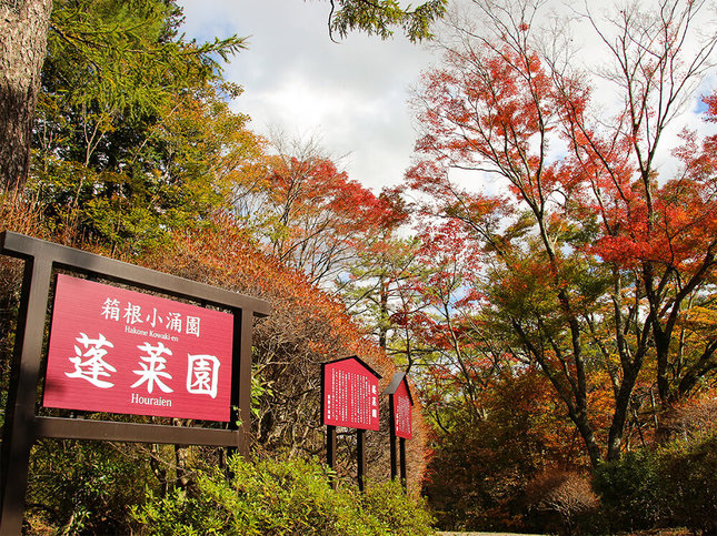 箱根小涌園蓬莱園の看板と紅葉