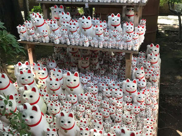 たくさんの招き猫に会ってきました！の画像