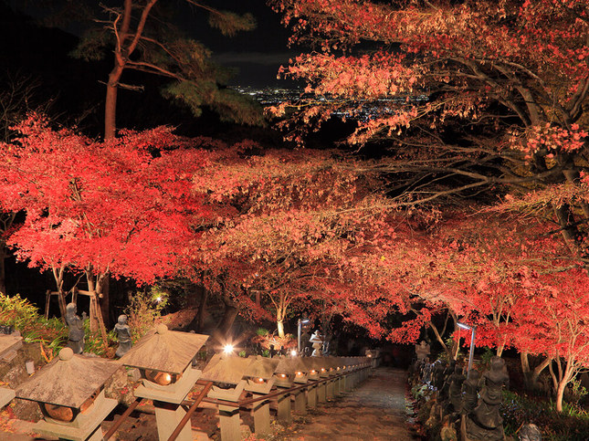 ライトアップされた紅葉