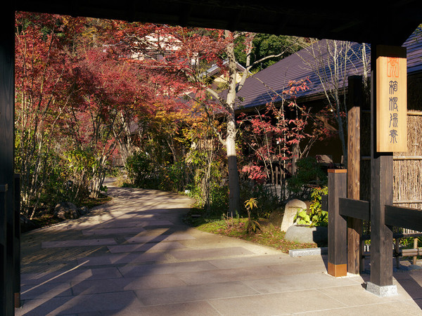 紅葉も温泉も満喫しよう！の画像