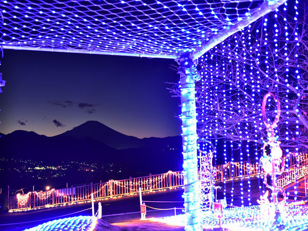 夜景とイルミネーションが同時にきらめく