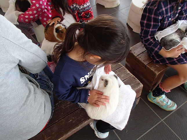 かわいい動物たちと触れあおう!