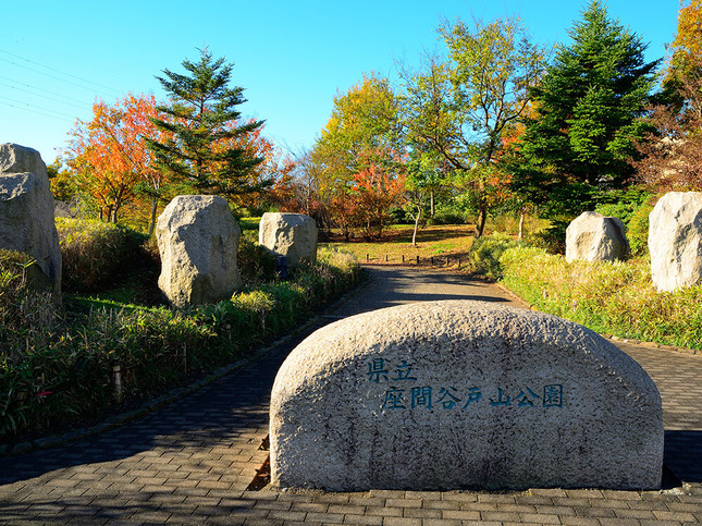 青空と紅葉のコントラストが美しい県立座間谷戸山公園の見晴らし