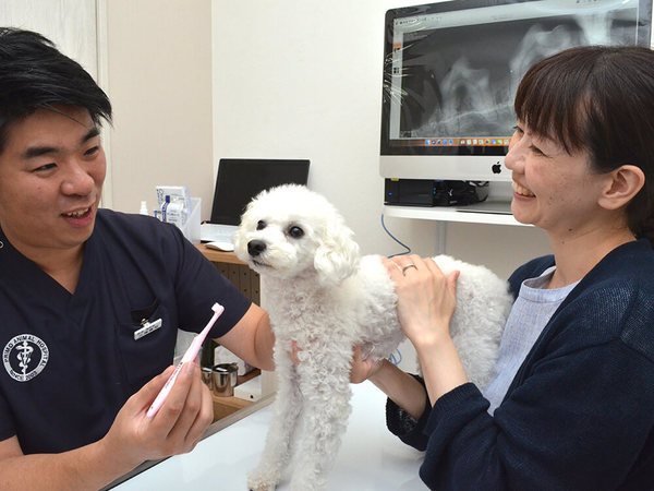 歯科治療に力を注ぐ動物病院の画像