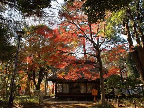 文学散歩も四季の花も楽しめるの画像