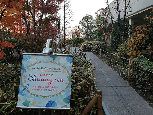 成城コルティ屋上庭園のイルミネーションの画像