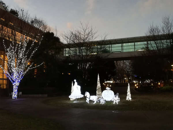 成育医療研究センターのイルミネーションの画像