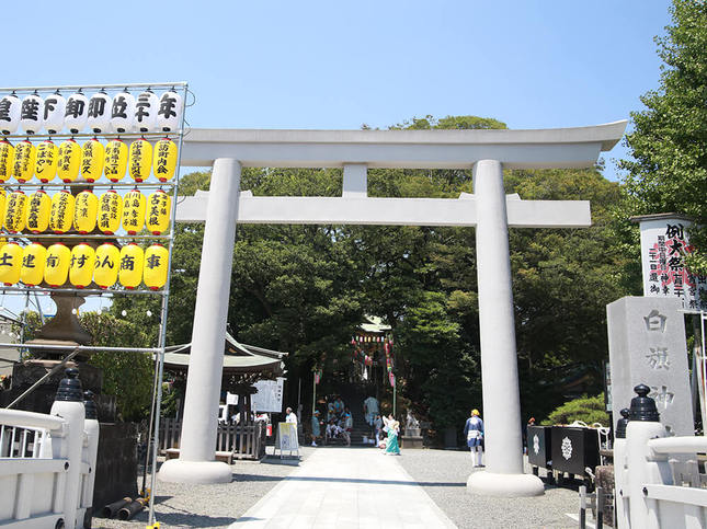 白旗神社のグラスファイバー製の白い鳥居