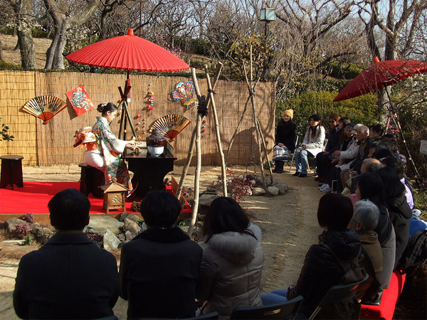 羽根木公園の「せたがや梅まつり」で春を先取り