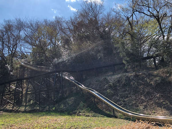 四季を感じる公園で自然と触れようの画像