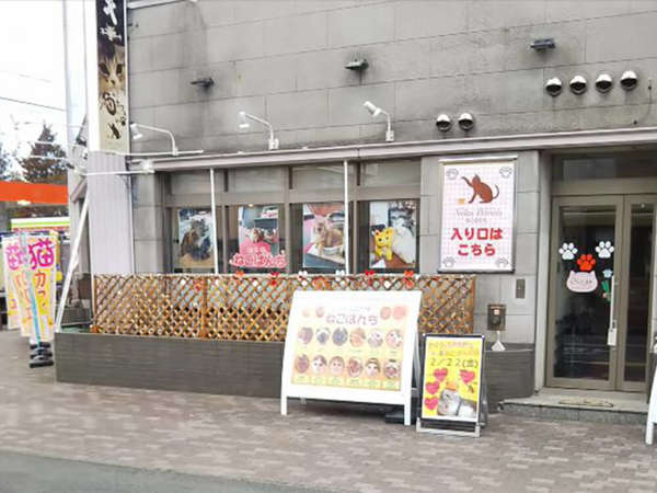 可愛い猫達に癒されます♪の画像