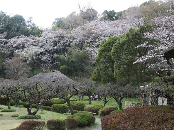 薬師池公園の画像