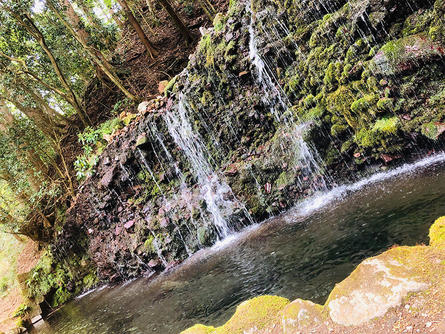 箱根の山奥にある神秘的な千条の滝