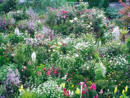 四季折々の花を育てる〝庭いじり師〟の南さん