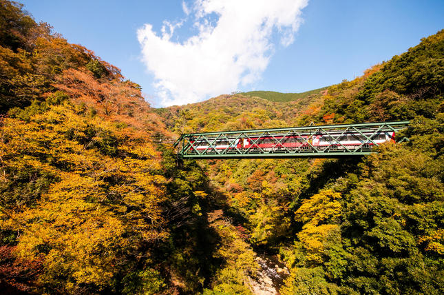 壮大な秋景色を登山電車から堪能しよう！