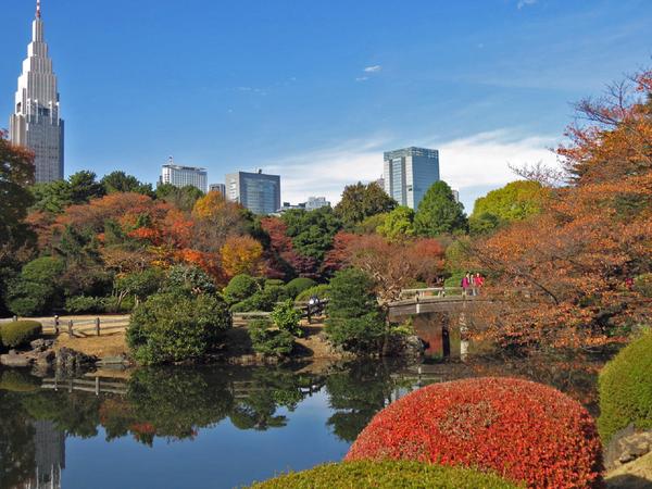 夏の暑さによるダメージを秋の新宿御苑でリカバリーの画像