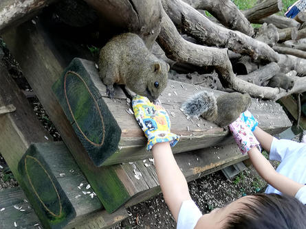 リーズナブルで楽しめる