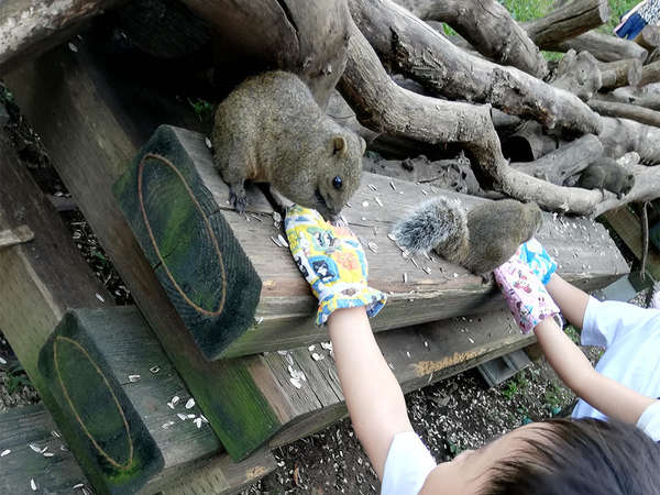 リーズナブルで楽しめるの画像