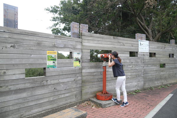 住宅街の中の公園。だけど、誰も中には入れない！？の画像