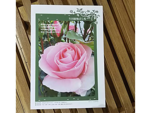 秋のばら苑が開苑中の画像