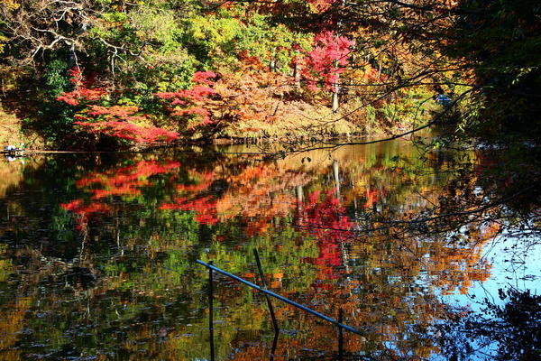 湖に映る紅葉が楽しめる「震生湖」の画像