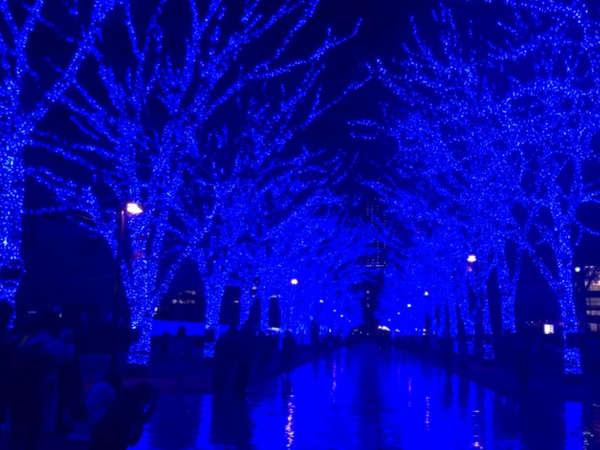 渋谷に『青の洞窟』が帰ってきた！の画像