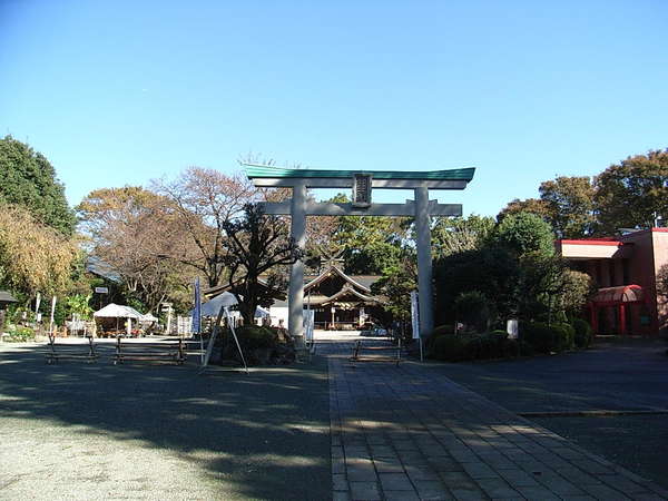 新年前に大しめ縄を新調の画像