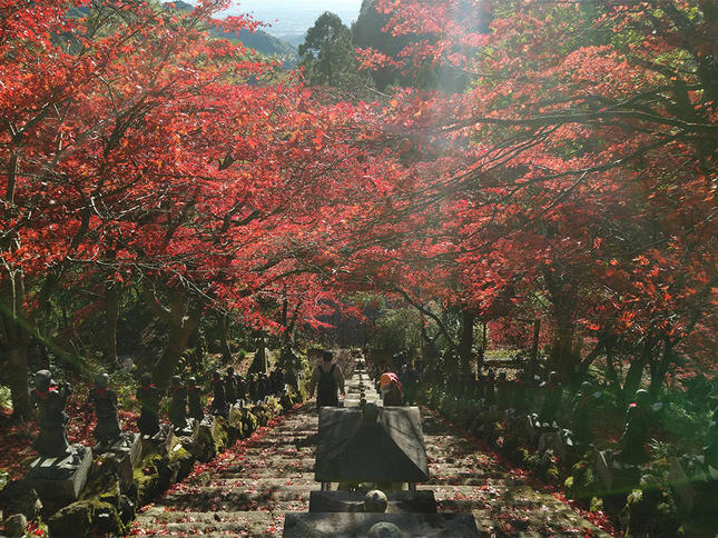 ”大山の紅葉”