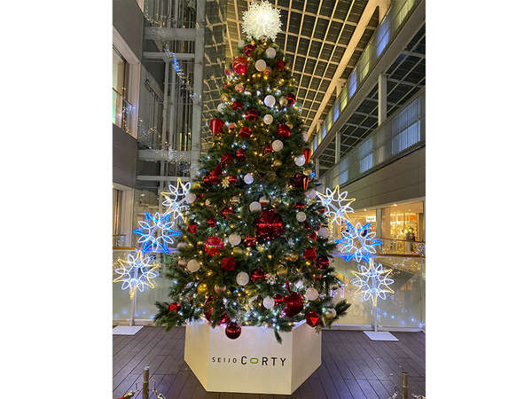 成城のクリスマスツリーと言えば...の画像