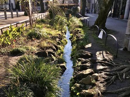 四季折々の草花を楽しめる、北沢川緑道