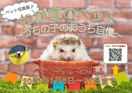 わが家のペット～うちの子のおうち自慢～