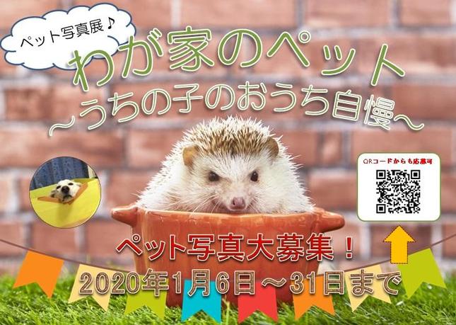 わが家のペット～うちの子のおうち自慢～