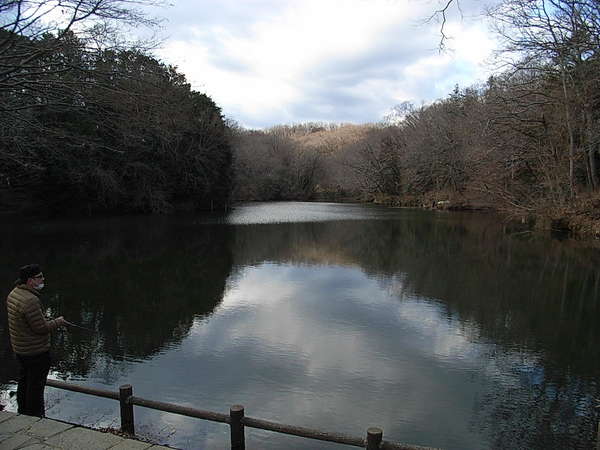 早春の震生湖の画像