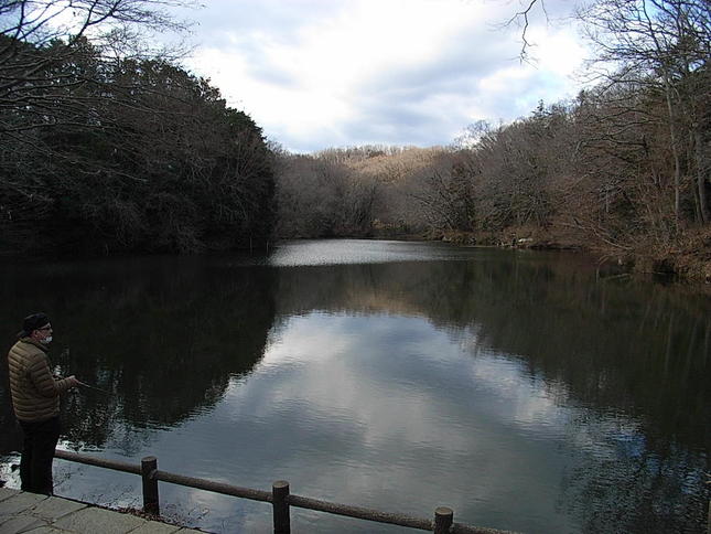 早春の震生湖