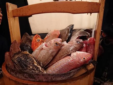 魚屋さんではありません！