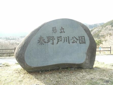 「三花」満開の県立戸川公園