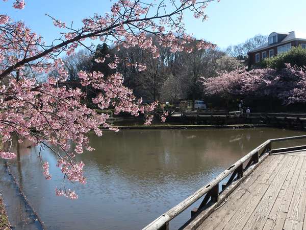 日本の歴史公園100選の画像