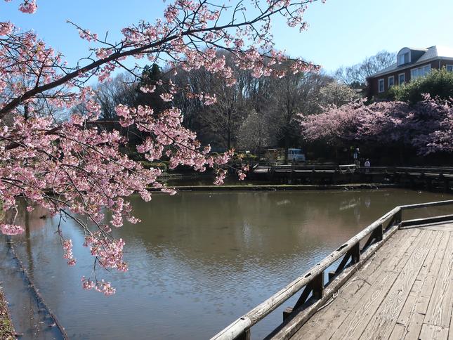 日本の歴史公園100選