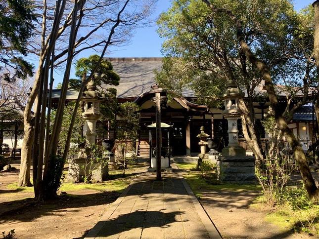 緑に囲まれている「泉龍寺」