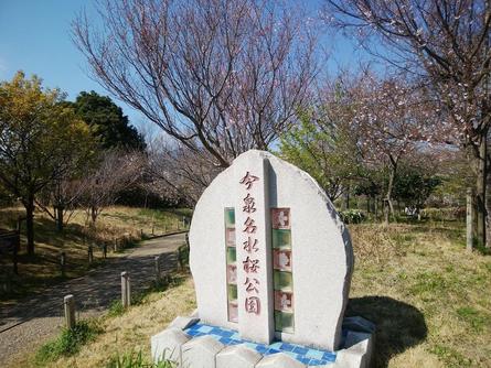 今泉名水桜公園へ