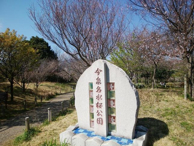 “今泉名水桜公園の碑“