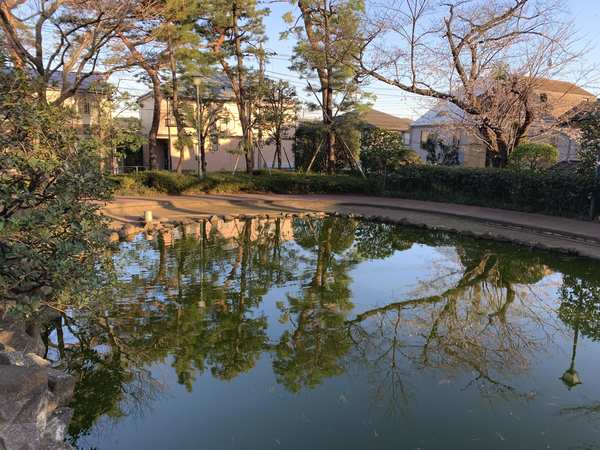 水と緑に囲まれてリフレッシュ！の画像