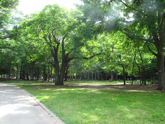 小田急沿線の公園スポット15選!休日のお散歩におすすめ♪