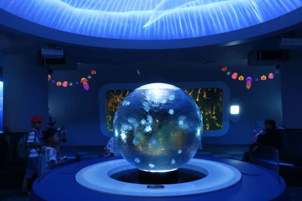 解放、幻想、教養の画像